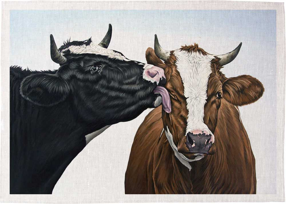 Cows Licking Tea Towel